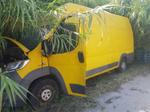 Immagine 9 - Furgoni Fiat Ducato - Lotto 3 (Asta 10273)