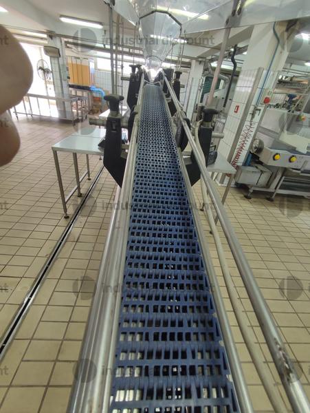 1#10308 Linea completa trasformazione per confezionamento alimentare prodotti sott'olio in vendita - foto 51