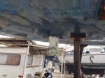 Immagine 12 - Imbarcazione a vela Dufour 44-performance - Lotto 1 (Asta 10315)