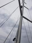 Immagine 27 - Imbarcazione a vela Dufour 44-performance - Lotto 1 (Asta 10315)
