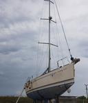Immagine 38 - Imbarcazione a vela Dufour 44-performance - Lotto 1 (Asta 10315)