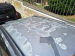 Immagine 13 - Autovettura Fiat Stilo SW - Lotto 1 (Asta 10334)