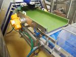 Immagine 8 - Linee di Lavorazione e confezionamento Vegetali - Lotto 1 (Asta 10356)