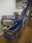 Immagine 14 - Linee di Lavorazione e confezionamento Vegetali - Lotto 1 (Asta 10356)