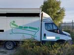 Immagine 31 - Autocarri autovetture e carrelli elevatori - Lotto 13 (Asta 10368)