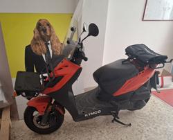 Motociclo Kymco Agility Carry KN25M - Lotto 9 (Asta 10381)