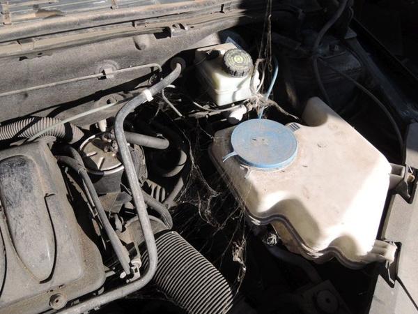 3#1073 Autovettura Daimler Chrysler B180 CDI in vendita - foto 14
