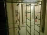 Immagine 5 - Scaffalature per stabulario - Lotto 2 (Asta 1160)