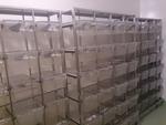 Immagine 10 - Scaffalature per stabulario - Lotto 2 (Asta 1160)