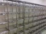 Immagine 22 - Scaffalature per stabulario - Lotto 2 (Asta 1160)