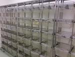 Immagine 23 - Scaffalature per stabulario - Lotto 2 (Asta 1160)