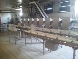 Linea separatore e dosatore - Lotto 33 (Asta 1355)