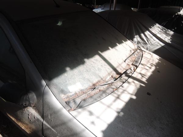 12#1527 Fiat Punto in vendita - foto 5