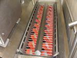 Image 2 - Itec food Technology sole drying system - Lot 31 (Auction 1618)