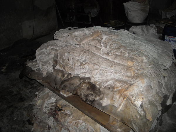 19#1649 Pelli conciate al cromo in vendita - foto 3