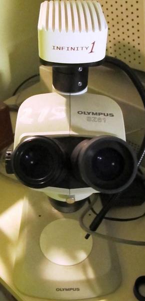 215#19521 Microscopio Olympus in vendita - foto 1