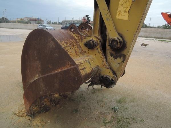 17#2100 Escavatore Fiat Hitachi in vendita - foto 8
