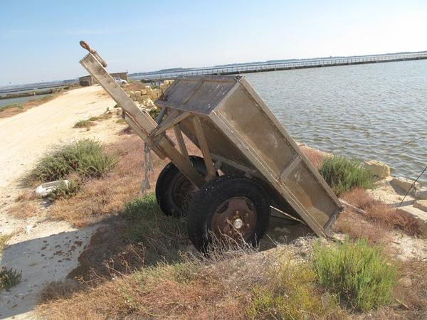 8#2118 Carrelli ed attrezzature in acciaio in vendita - foto 2