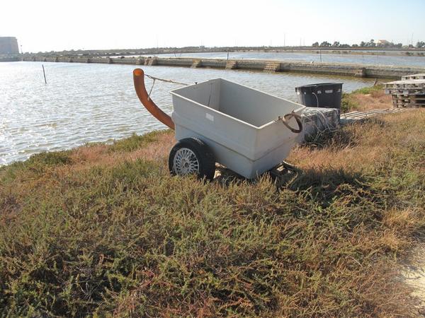 8#2118 Carrelli ed attrezzature in acciaio in vendita - foto 4