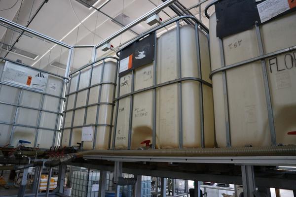 1#2120 Macchinari e attrezzature Produzione Prodotti per la Casa in vendita - foto 47