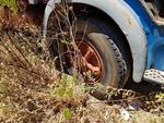 Immagine 3 - Autocarro Iveco 130 - Lotto 2 (Asta 2149)