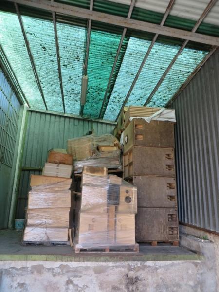 15#2151 Truciolato e fogli di betulla in vendita - foto 2