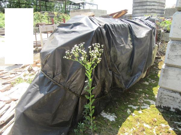 23#2226 Gru Cinomatic in vendita - foto 2