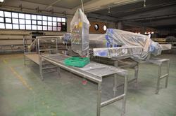 Tecnofrutta vegetable processing line - Lot 1 (Auction 2231)