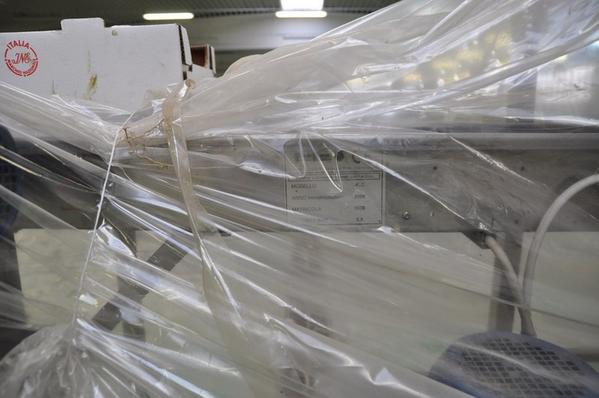 1#2231 Linea di lavorazione ortaggi Tecnofrutta in vendita - foto 4