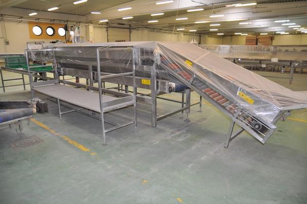 1#2231 Linea di lavorazione ortaggi Tecnofrutta in vendita - foto 9