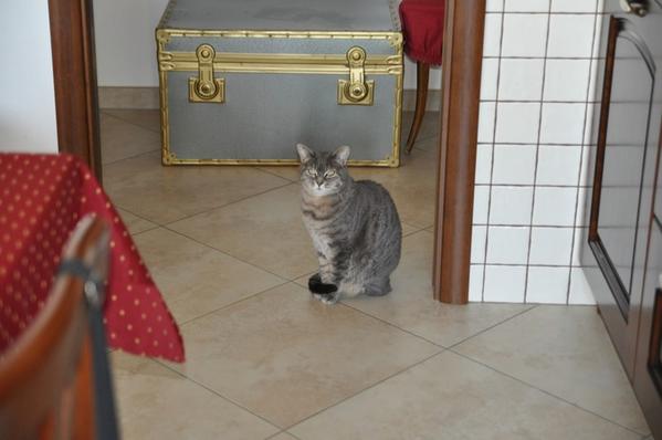 4#2256 Arredi per la casa in vendita - foto 5