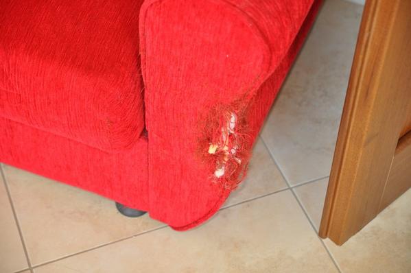 4#2256 Arredi per la casa in vendita - foto 15