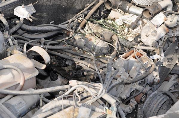 9#2256 Autovettura Maserati 332B in vendita - foto 13