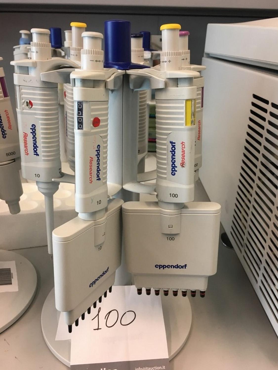 Lot Eppendorf pipette Sets