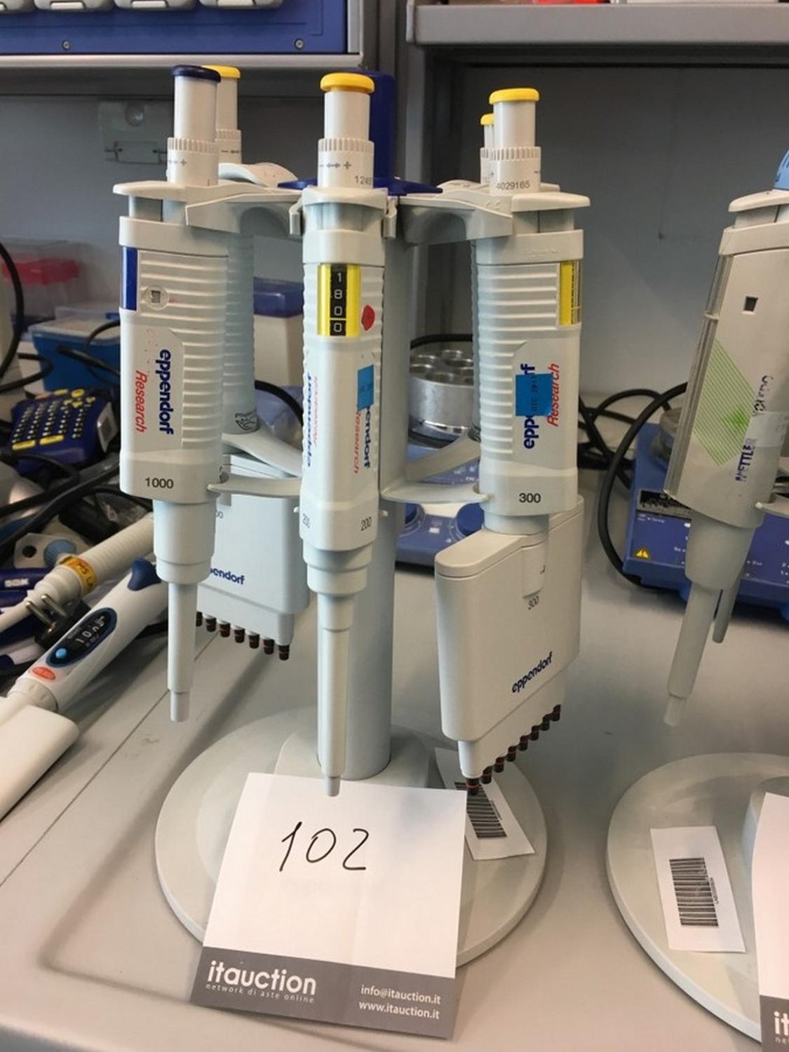 Lot Eppendorf pipette Set
