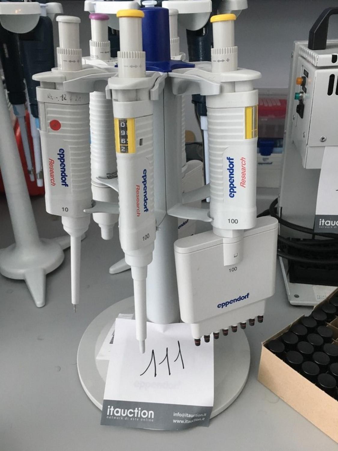 Lot Eppendorf pipettes sets