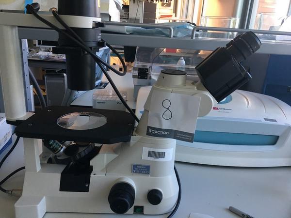 Laboratorio in vendita