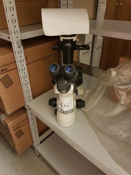 97#2288 Microscopio invertito Nikon in vendita - foto 2