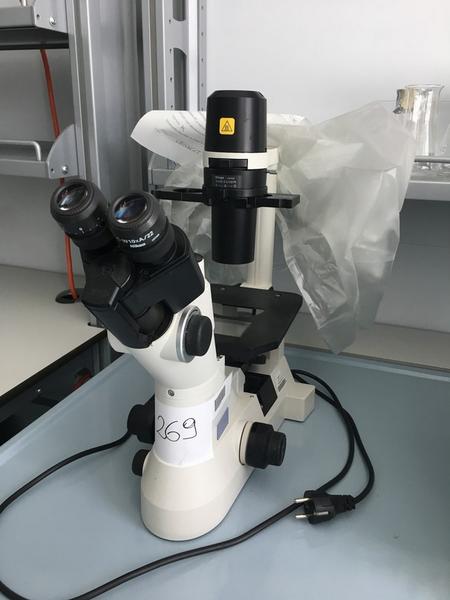 Laboratorio in vendita