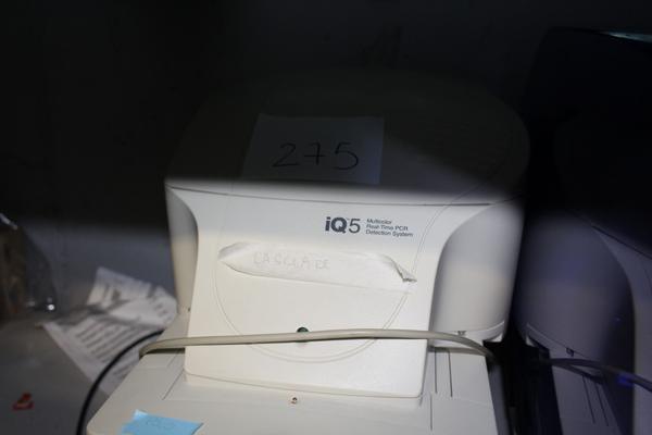172#22880 Termociclatore per analisi Real time PCR Biorad in vendita - foto 3
