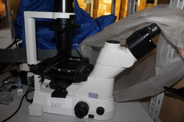 191#22880 Microscopio Nikon in vendita - foto 4