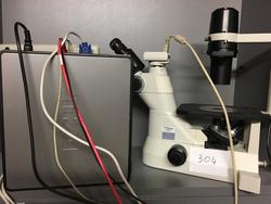 Microscopio Nikon - Lotto 208 (Asta 22880)