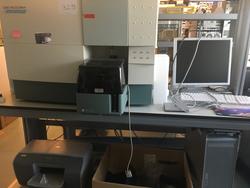 BD Facscalibur Analyser - Lotto 211 (Asta 22880)