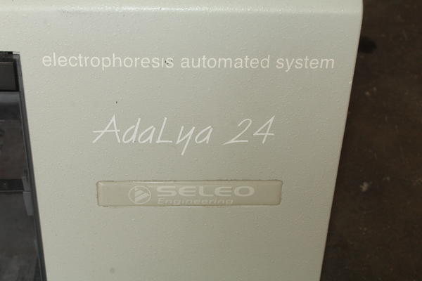 9#2301 Sistema automatico per elettroforesi Seleo in vendita - foto 3
