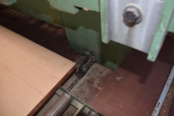 10#2307 Rulliera Gabbiani e nastro di scarico Leopida in vendita - foto 23