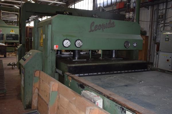 10#2307 Rulliera Gabbiani e nastro di scarico Leopida in vendita - foto 32