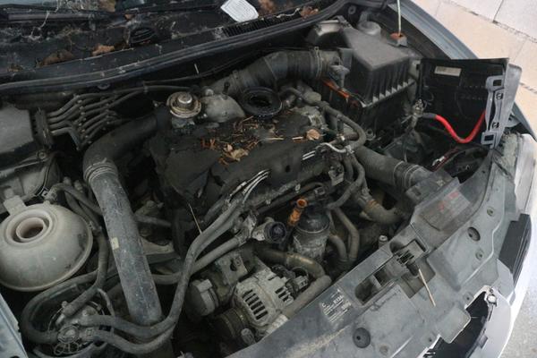 29#2335 Autovettura Seat Ibiza in vendita - foto 12