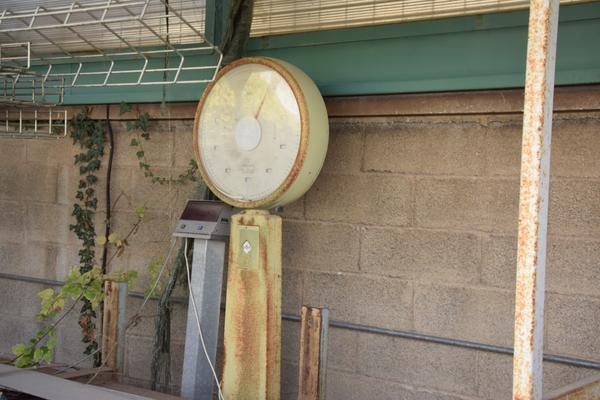 40#2413 Transpallet bilancia e scaffale in vendita - foto 9