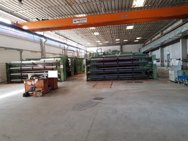 37#2442  Carroponte bitrave Emmegiesse in vendita - foto 2
