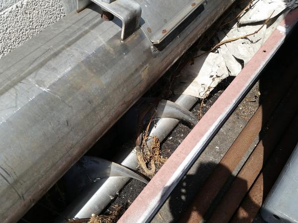 9#2447 Coclee in vendita - foto 7
